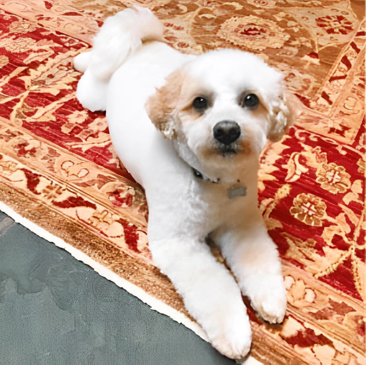 Max